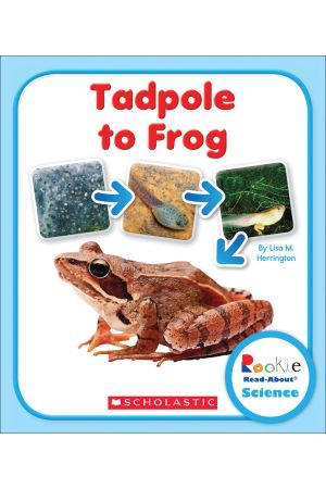 Tadpole to Frog
