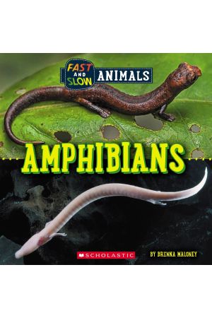Fast and Slow: Amphibians