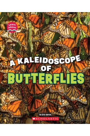 A Kaleidoscope of Butterflies