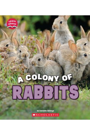 A Colony of Rabbits