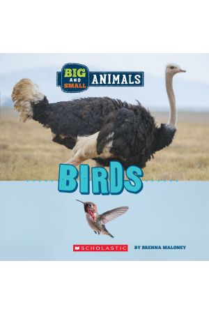 Big and Small: Birds