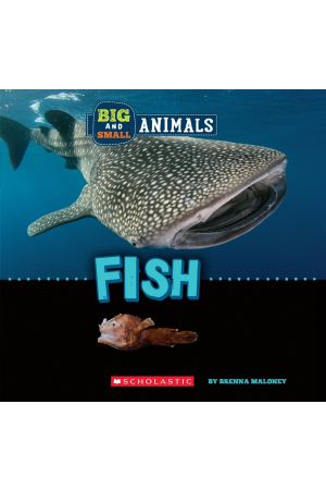 Big and Small: Fish