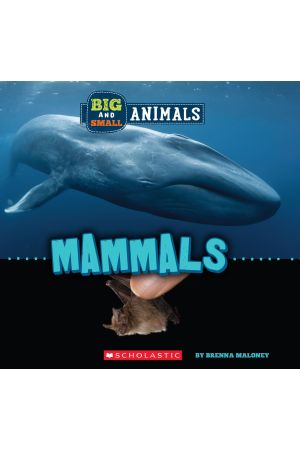 Big and Small Animals: Mammals