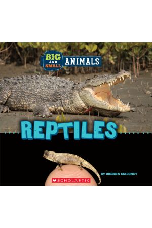 Big and Small: Reptiles