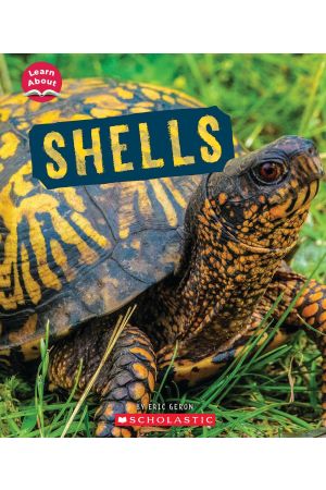 Shells