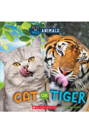 Cat or Tiger