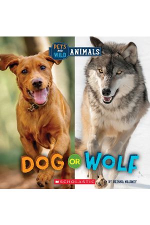 Dog or Wolf