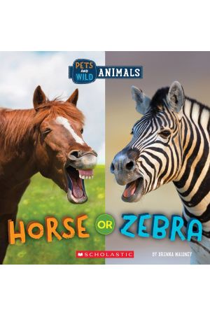 Horse or Zebra