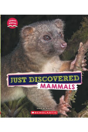 Just Discovered Mammals