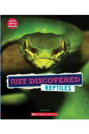 Just Discovered Reptiles