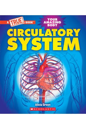 Circulatory System