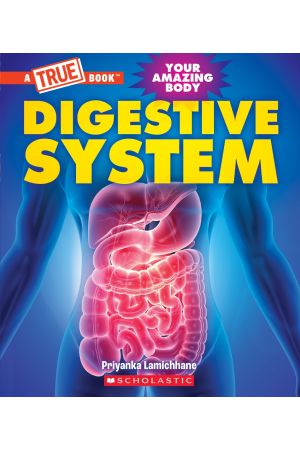Digestive System