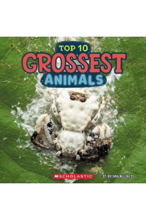 Top 10 Grossest Animals