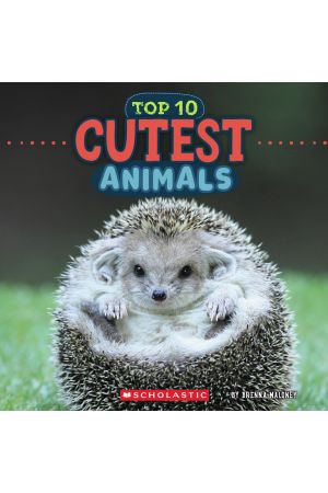 Top 10 Cutest Animals