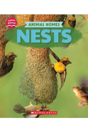 Nests