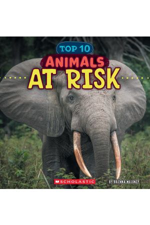 Top 10 Animals at Risk