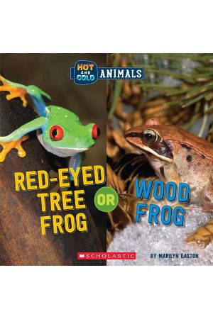 Red-Eyed Tree Frog or Wood Frog