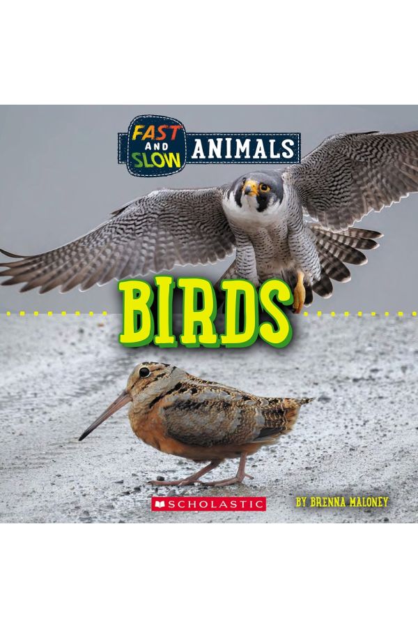 Fast and Slow: Birds