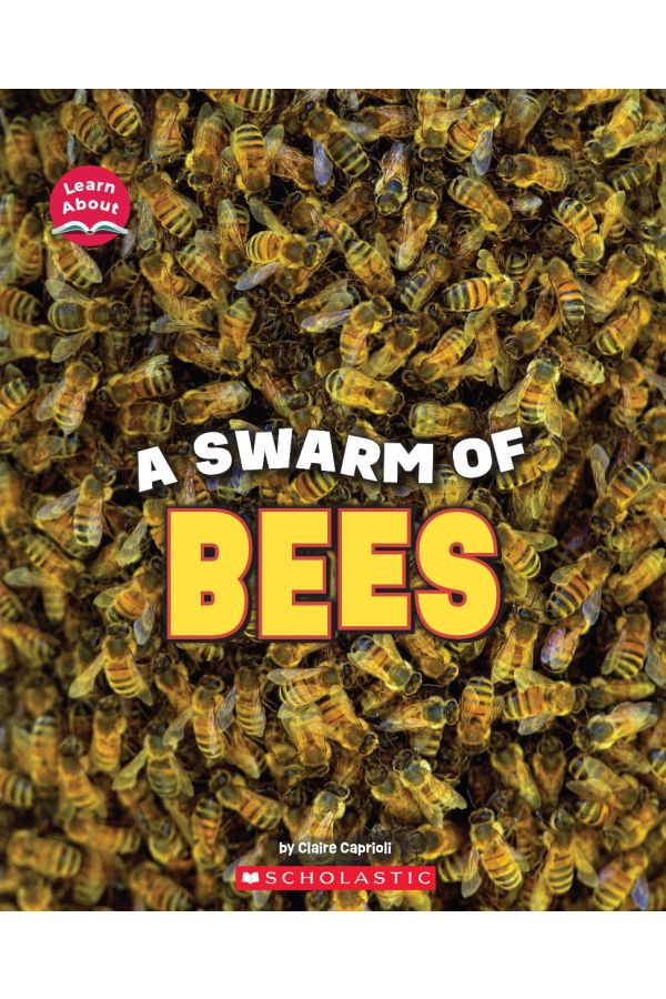 A Swarm of Bees