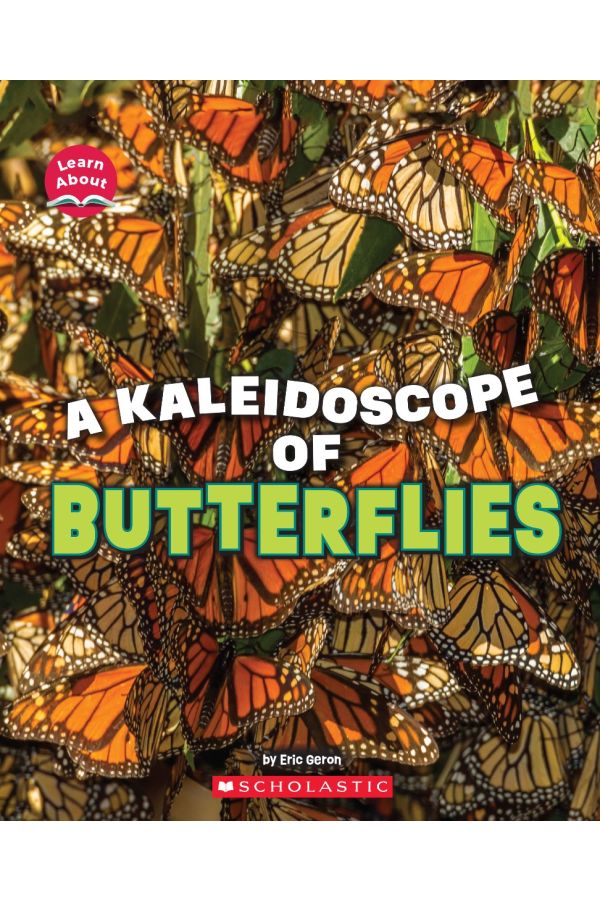 A Kaleidoscope of Butterflies