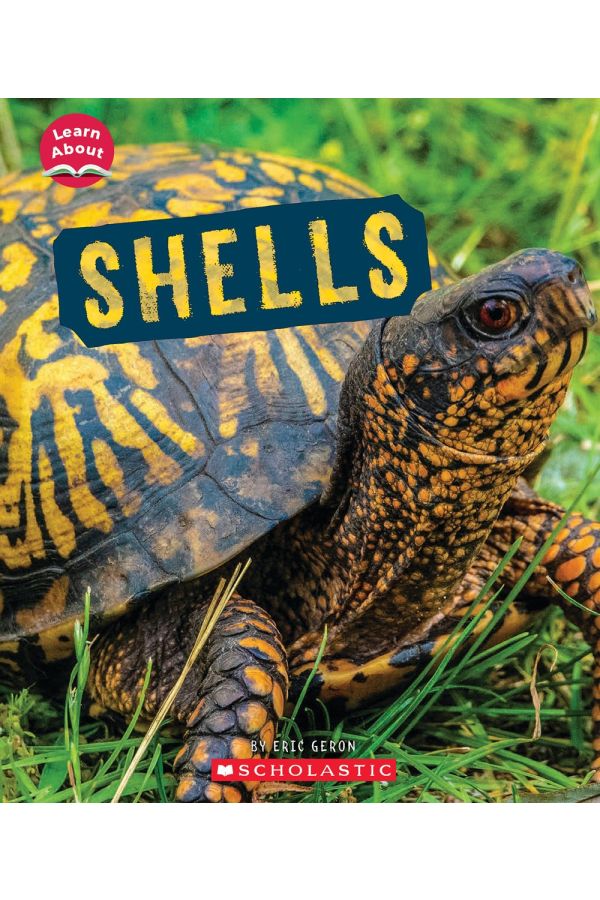 Shells
