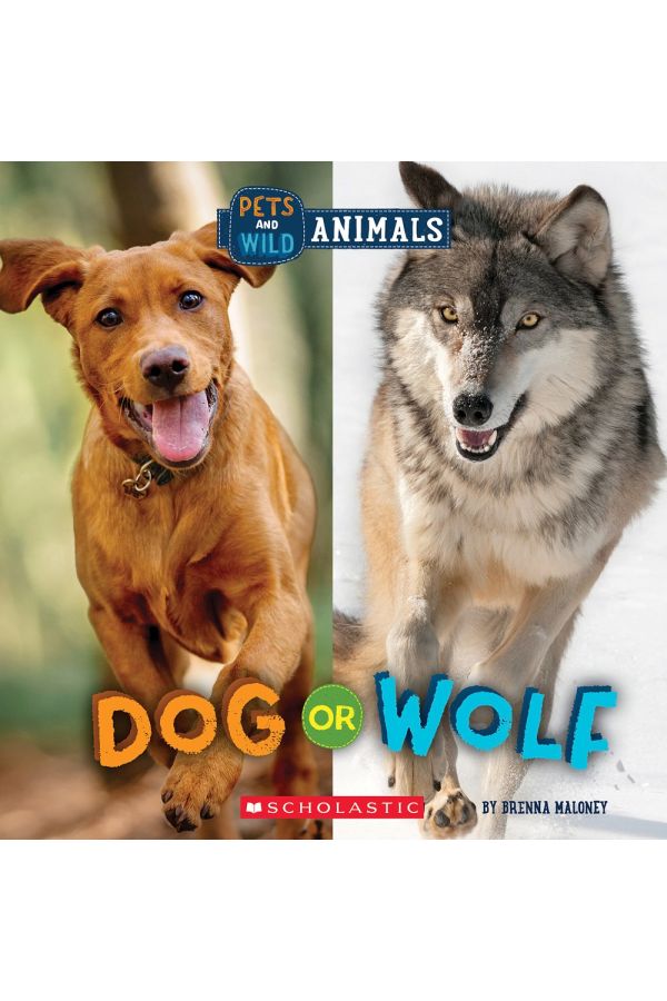 Dog or Wolf