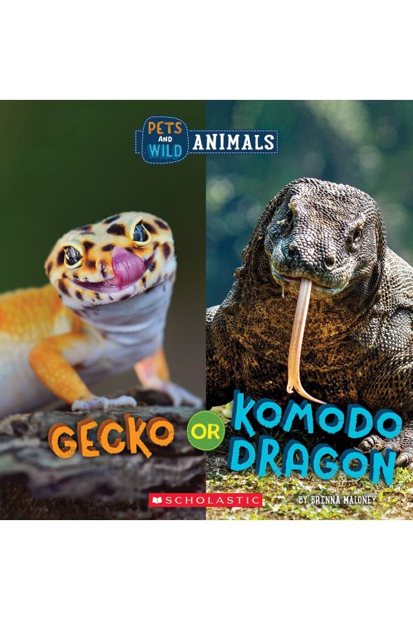 Gecko Or Komodo Dragon