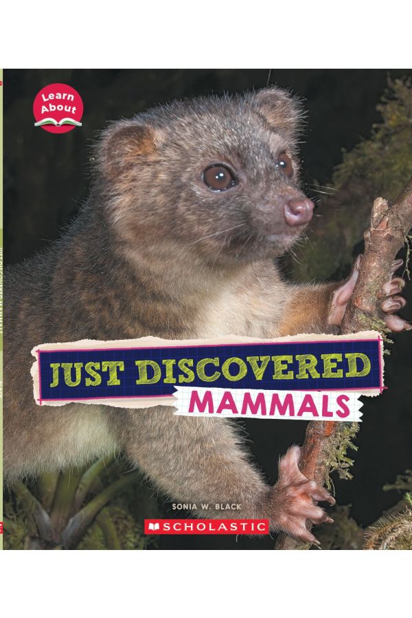 Just Discovered Mammals
