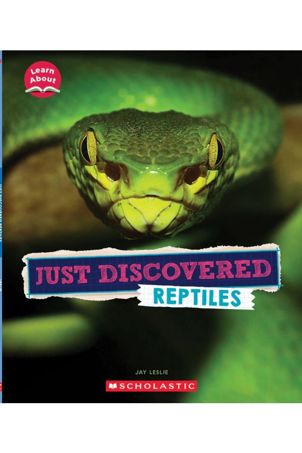 Just Discovered Reptiles