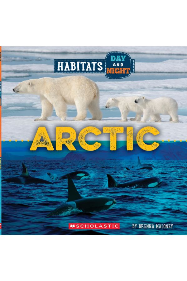 Arctic