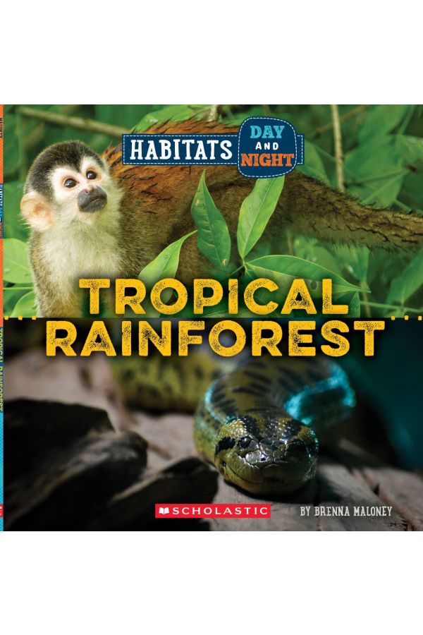 Tropical Rainforest