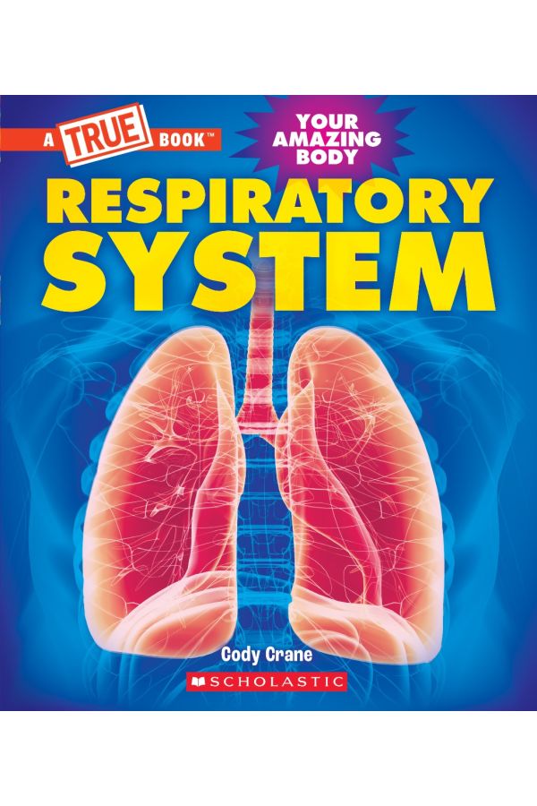 Respiratory System
