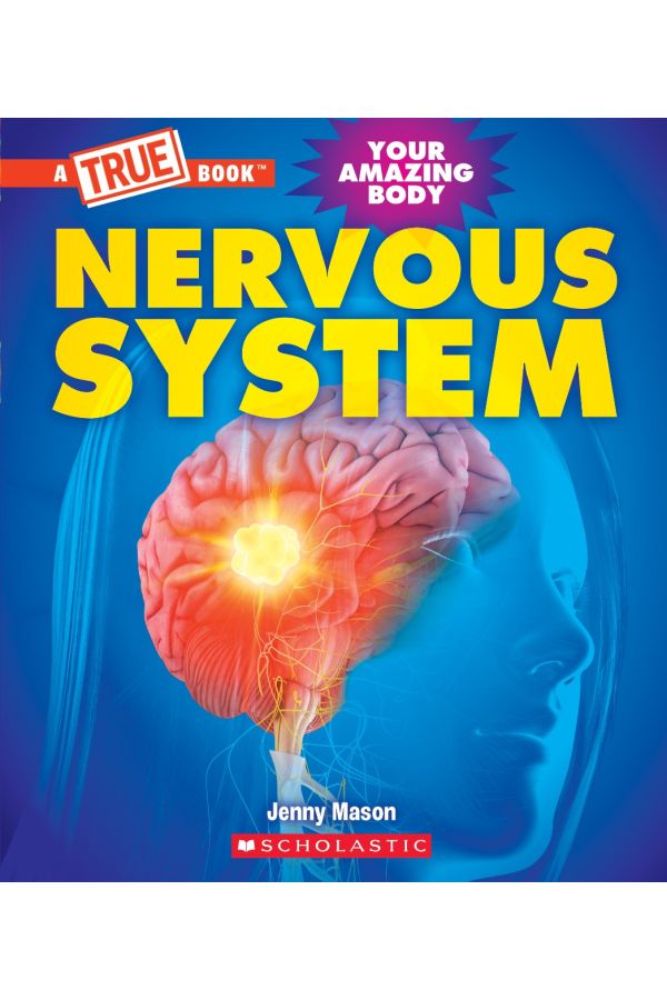 Nervous System