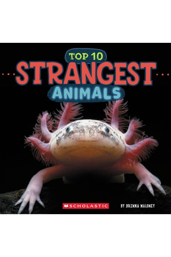 Top 10 Strangest Animals